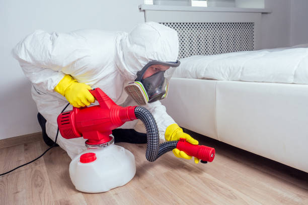 Best Residential Pest Control  in South Zanesville, OH